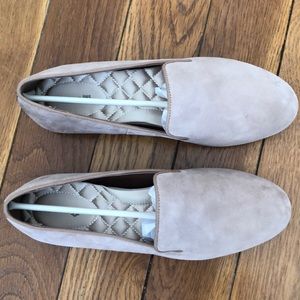 Birdies - The Starling